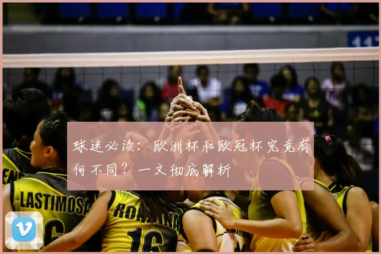 球迷必读：欧洲杯和欧冠杯究竟有何不同？一文彻底解析
