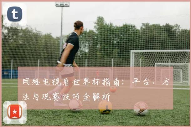 网络电视看世界杯指南：平台、方法与观赛技巧全解析